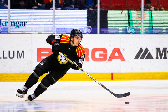 Brynäs Dmytro Timashov