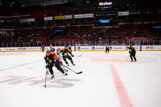Brynäs Oula Palve