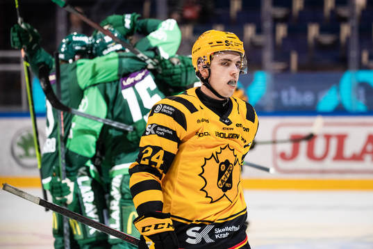 Skellefteås Elias Stenman deppar