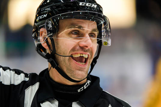 Domare Richard Magnusson