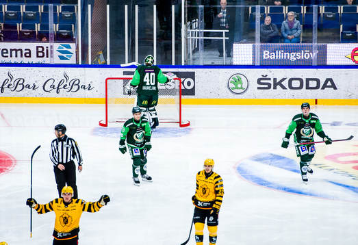 Skellefteås Rickard Hugg jublar