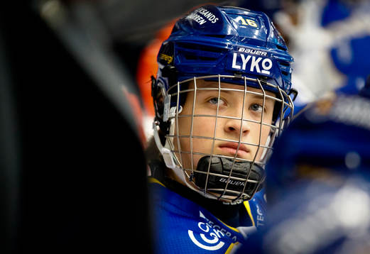 Leksands David Rosander
