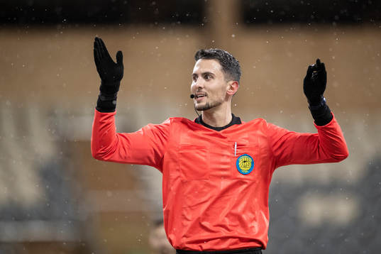 Domare Adi Aganovic