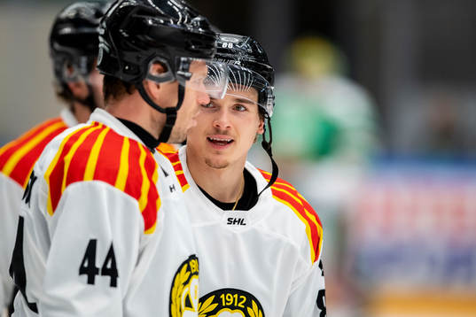 Brynäs Dmytro Timashov