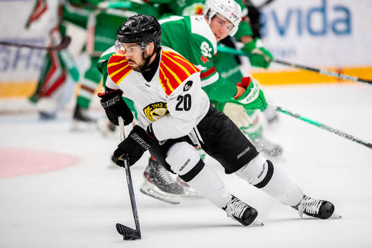 Brynäs Oula Palve