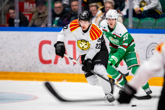 Brynäs Adam Pettersson
