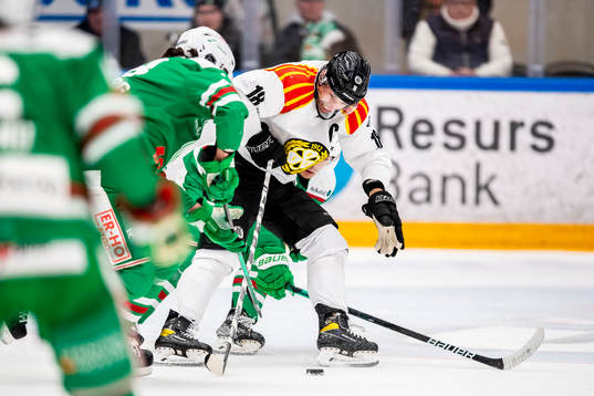 Brynäs Anton Rödin