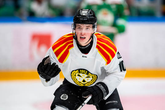 Brynäs Noel Gunler