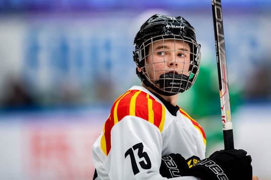 Brynäs Theo Lindstein