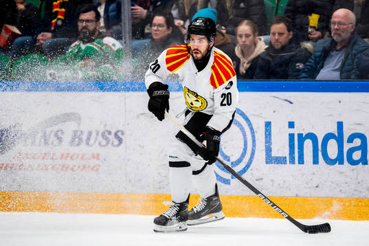 Brynäs Oula Palve