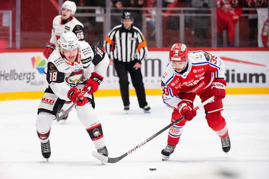 Malmö Redhawks Marcus Sylvegård och Timrås Ty Rattie