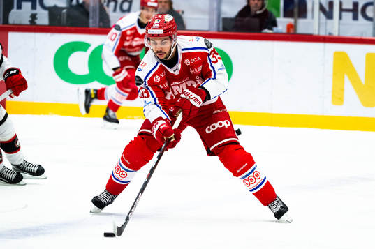 Timrås Ty Rattie