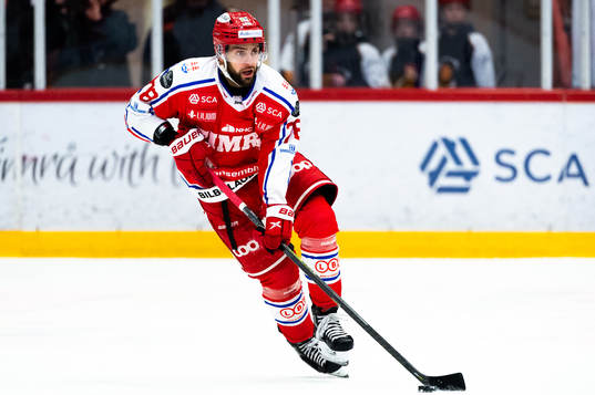 Timrås Robin Hanzl