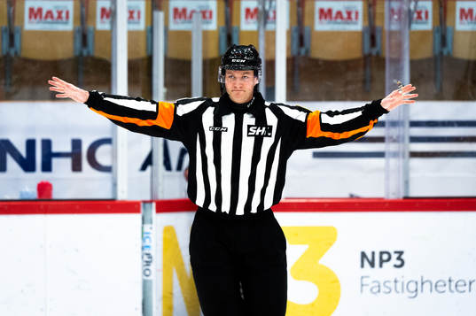 Domare Daniel Eriksson