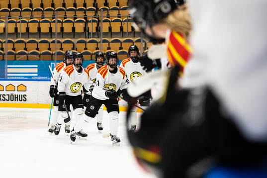 Brynäs Denisa Krizova