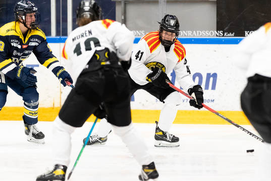 Brynäs Denisa Krizova