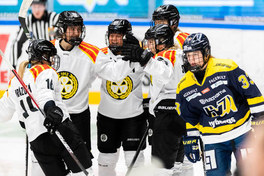 Spelare ur Brynäs jublar