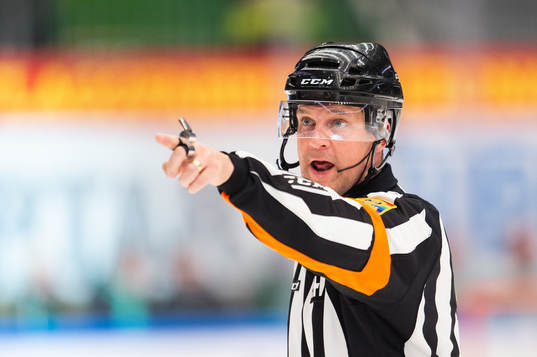 Domare Mikael Nord