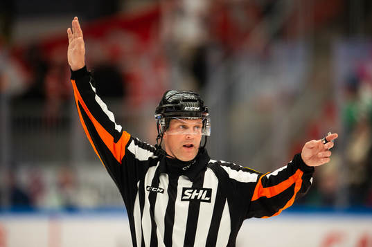 Domare Mikael Nord