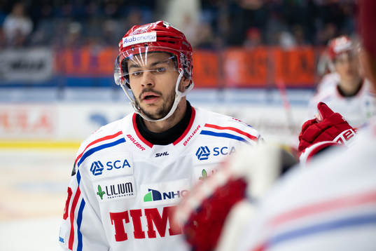 Timrås Ty Rattie