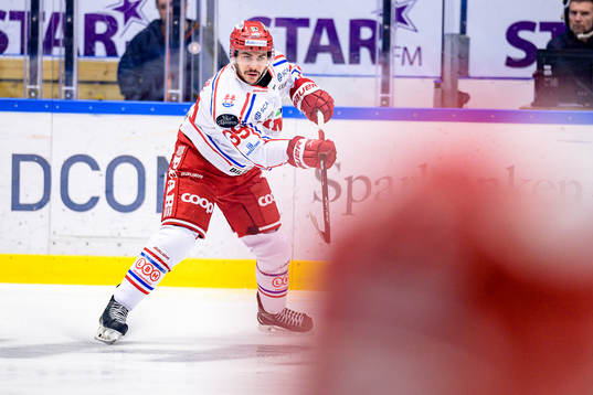 Timrås Ty Rattie