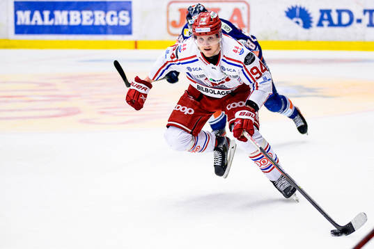 Timrås Sebastian Hartmann