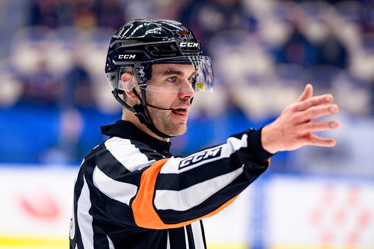 Domare Richard Magnusson