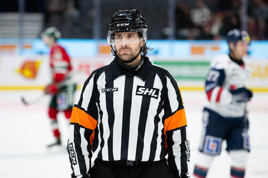 Domare Mikael Sjöqvist