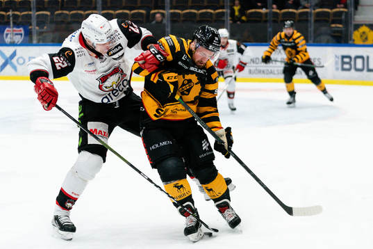 Malmö Redhawks Lars Bryggman och Skellefteås Adam
