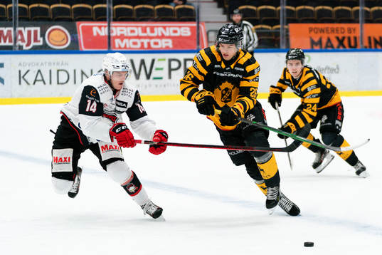 Malmö Redhawks Carl-Johan Lerby och Skellefteås Simon
