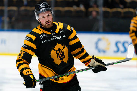 Skellefteås Adam Mascherin deppar