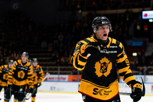 Skellefteås Rickard Hugg
