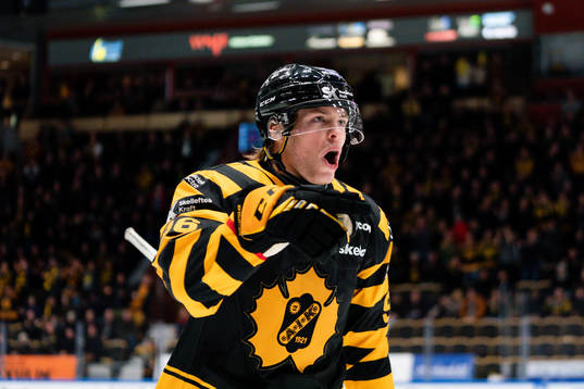 Skellefteås Rickard Hugg