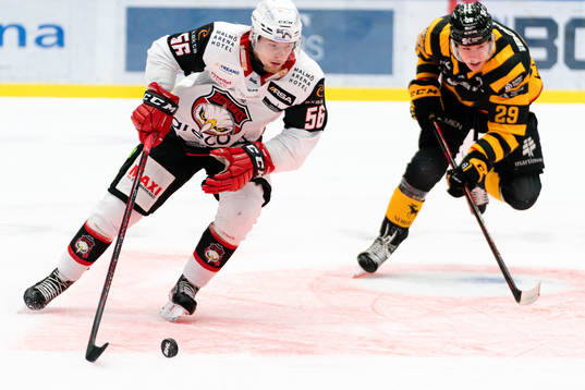 Malmö Redhawks Anton Olsson och Skellefteås Albin Sundsvik