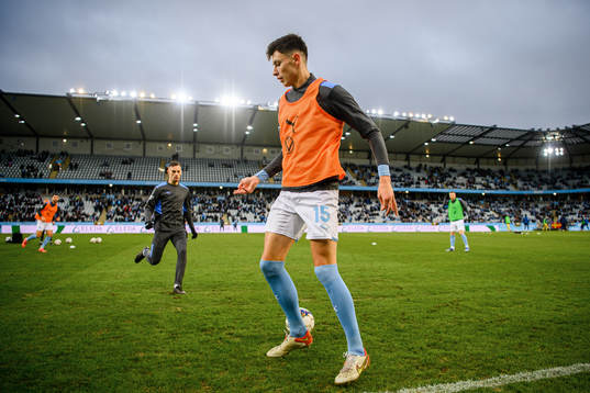 Malmö FFs Anel Ahmedhodzic