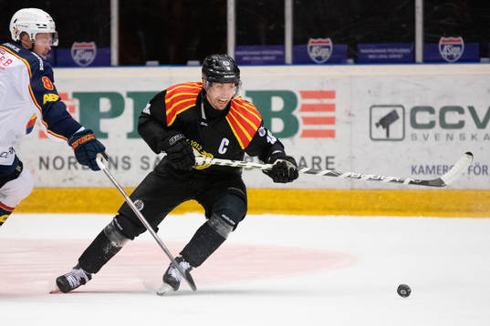 Brynäs Anton Rödin