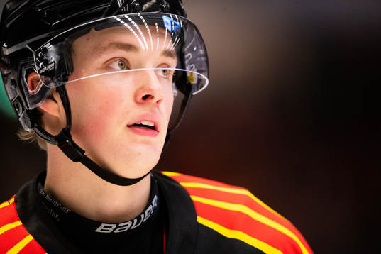 Brynäs Noel Gunler