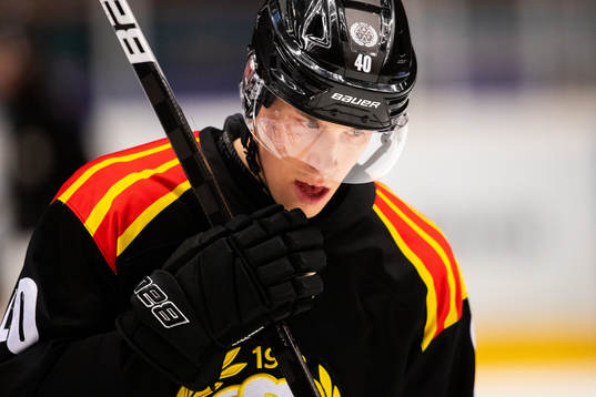 Brynäs Tomi Sallinen