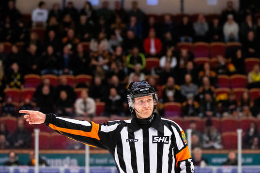 Domare Daniel Eriksson