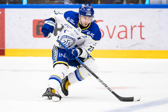 Leksands Mikael Ruohomaa