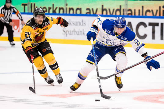 Leksands Mikael Ruohomaa och Luleås Brendan Shinnimin