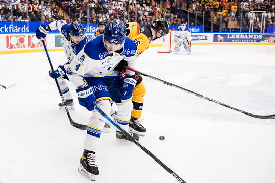 Leksands David Rosander