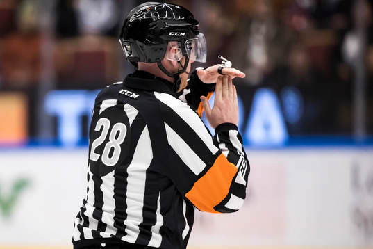 Domare Mikael Holm