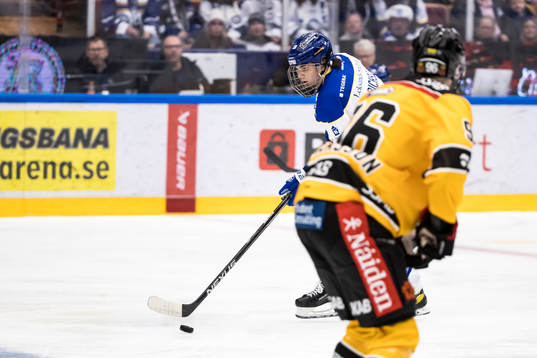 Leksands Lian Bichsel