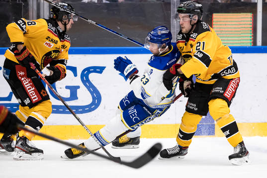 Leksands Mikael Ruohomaa och Luleås Juhani Tyrväinen