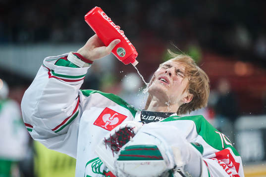 goalkeeper Calle Clang of Rögle