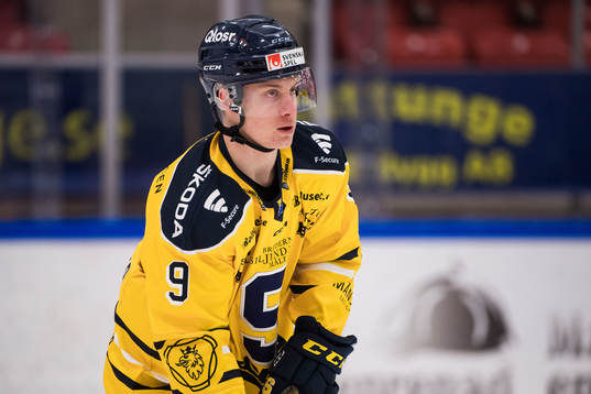 Södertäljes Leon Wallner