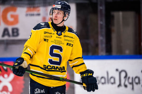 Södertäljes Leon Wallner deppar
