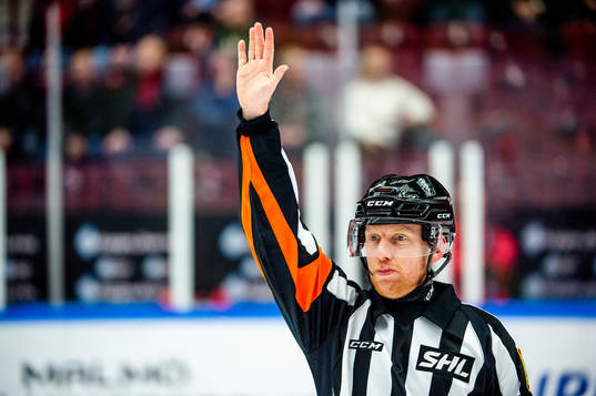 Domare Mikael Holm