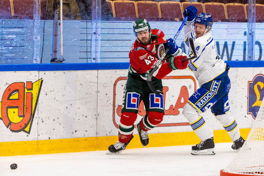 Frölundas Michael Spacek och Leksands Tobias Ekberg